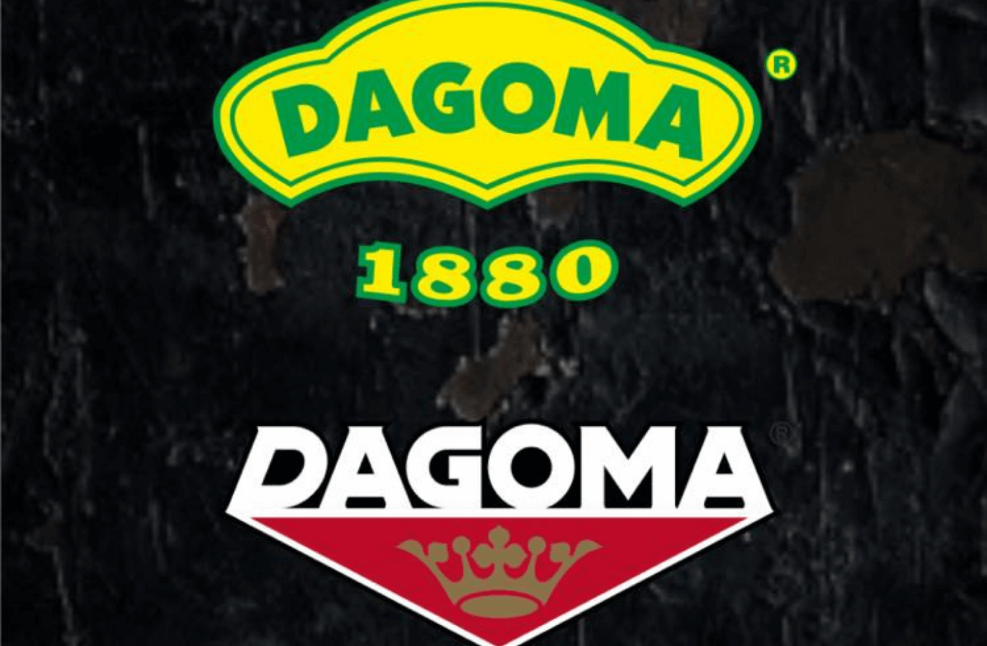 Dagma Inżynieria BHP