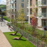 inprorumia3 inprorumia3