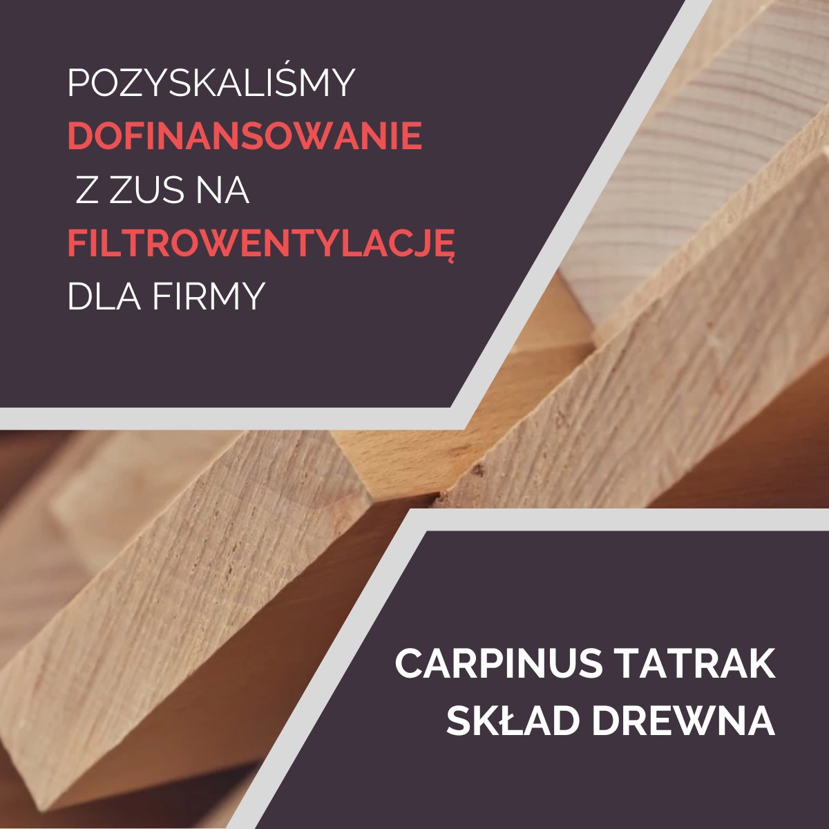 CARPINUS TARTAK-Skład Drewna